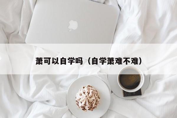 萧可以自学吗（自学萧难不难） 第1张