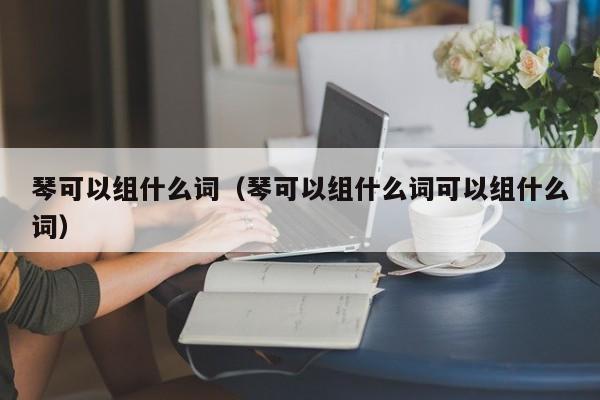 琴可以组什么词（琴可以组什么词可以组什么词）