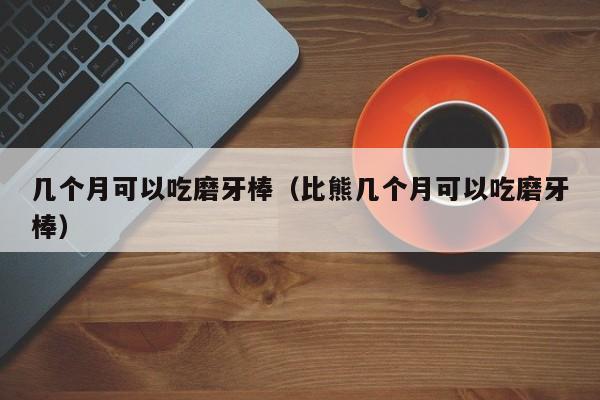 几个月可以吃磨牙棒（比熊几个月可以吃磨牙棒）