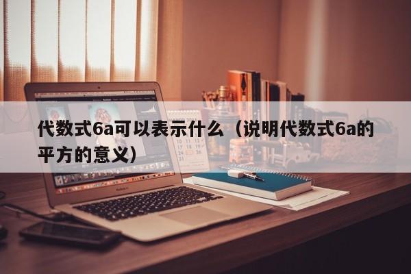 代数式6a可以表示什么（说明代数式6a的平方的意义）