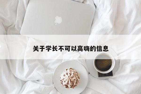 关于学长不可以高嗨的信息