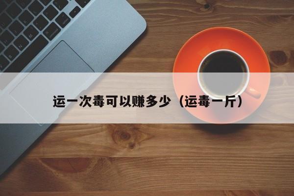 运一次毒可以赚多少（运毒一斤）