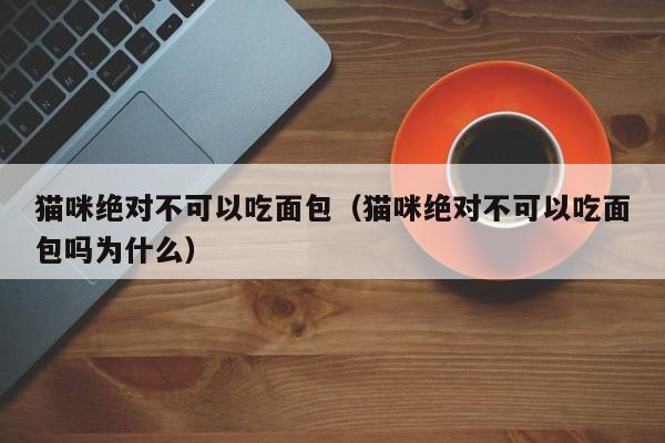 猫咪绝对不可以吃面包（猫咪绝对不可以吃面包吗为什么） 第1张