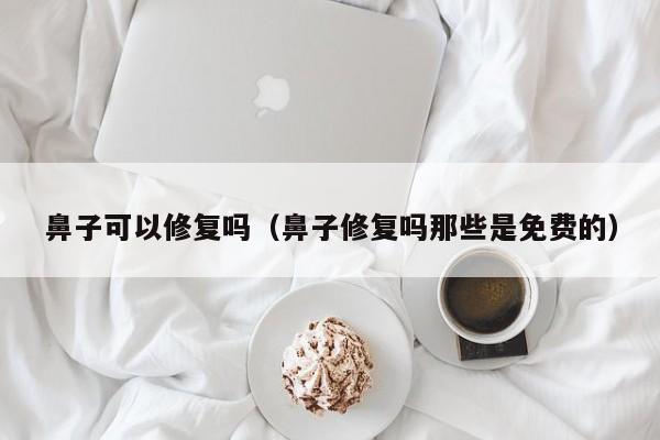 鼻子可以修复吗（鼻子修复吗那些是免费的）