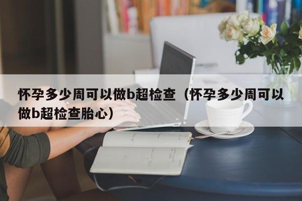 怀孕多少周可以做b超检查（怀孕多少周可以做b超检查胎心）