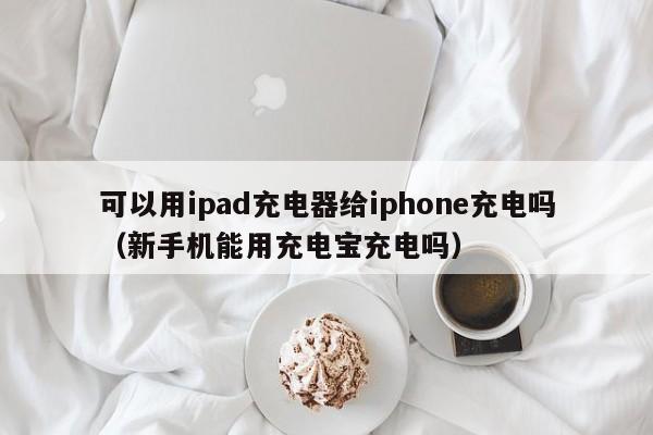 可以用ipad充电器给iphone充电吗（新手机能用充电宝充电吗） 第1张