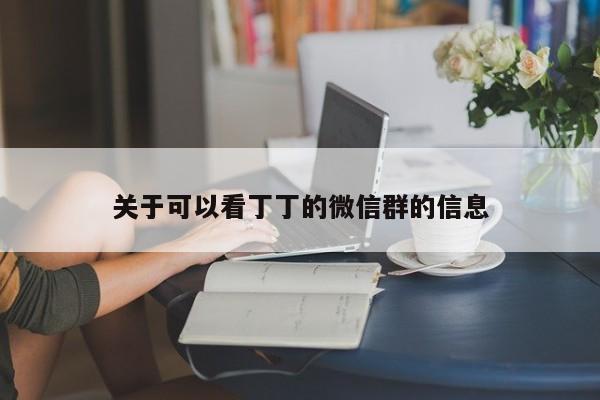 关于可以看丁丁的微信群的信息