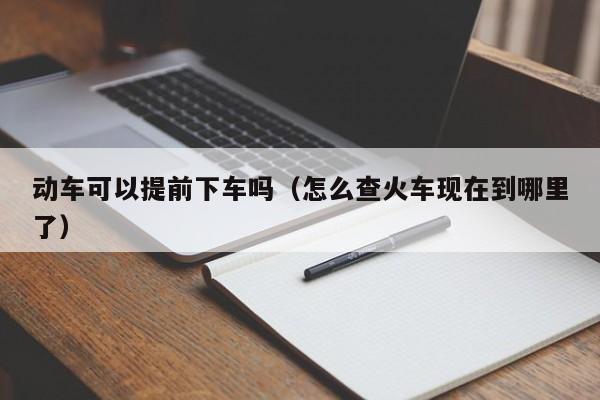 动车可以提前下车吗（怎么查火车现在到哪里了） 第1张