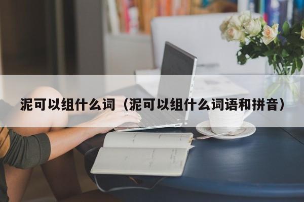 泥可以组什么词（泥可以组什么词语和拼音）