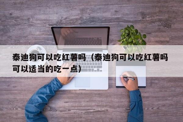 泰迪狗可以吃红薯吗（泰迪狗可以吃红薯吗 可以适当的吃一点）