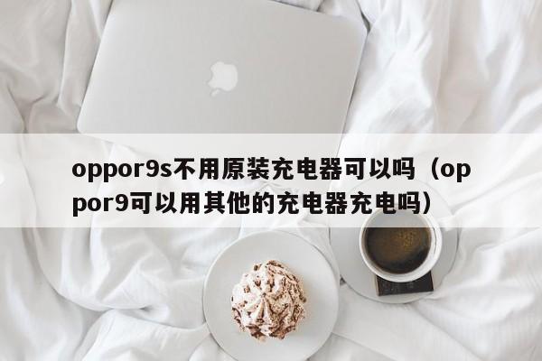 oppor9s不用原装充电器可以吗（oppor9可以用其他的充电器充电吗） 第1张