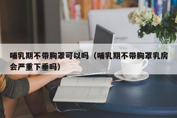 哺乳期不带胸罩可以吗（哺乳期不带胸罩乳房会严重下垂吗） 第1张