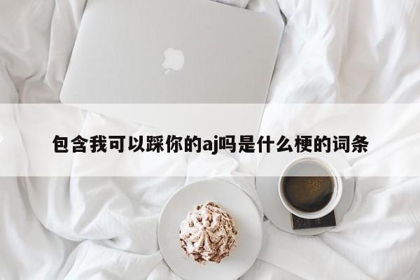 包含我可以踩你的aj吗是什么梗的词条 第1张