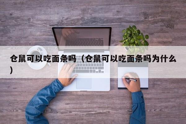 仓鼠可以吃面条吗（仓鼠可以吃面条吗为什么） 第1张